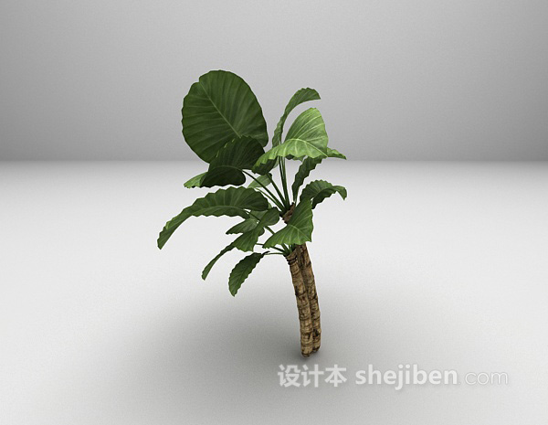 设计本室外大叶植物3d模型下载
