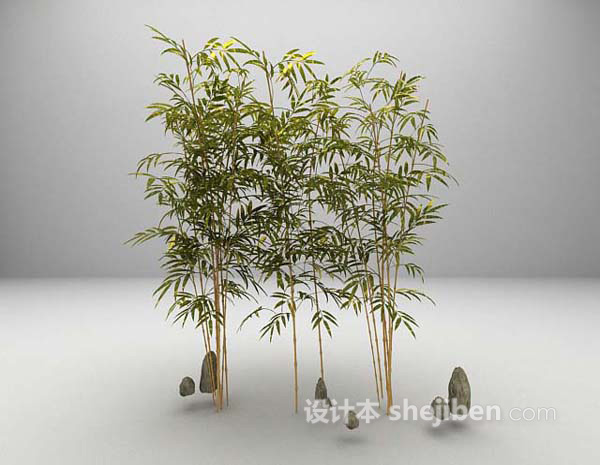 竹植物3d模型下载