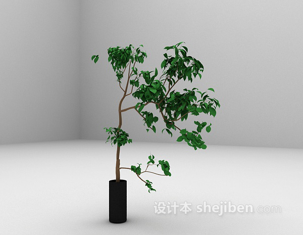 设计本植物盆栽欣赏3d模型下载
