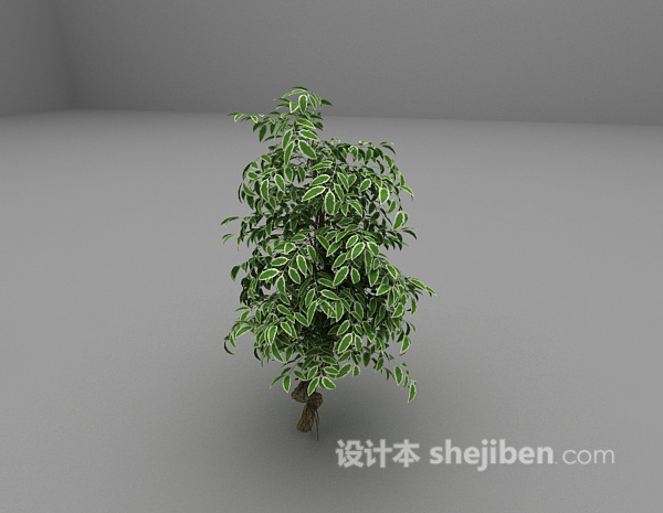 设计本绿色植物推荐3d模型下载