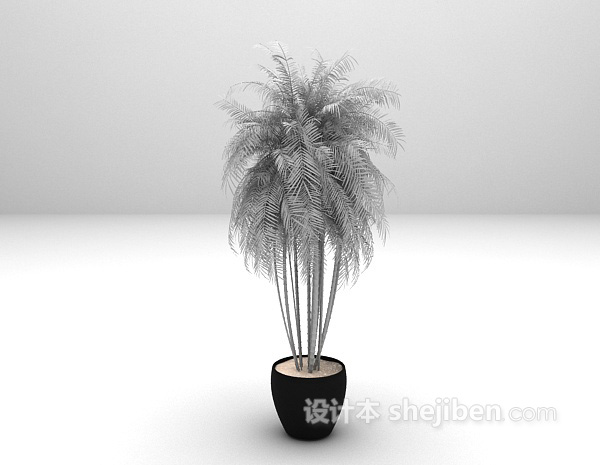 现代风格植物盆栽3d模型下载