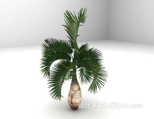 设计本棕榈树3d模型下载