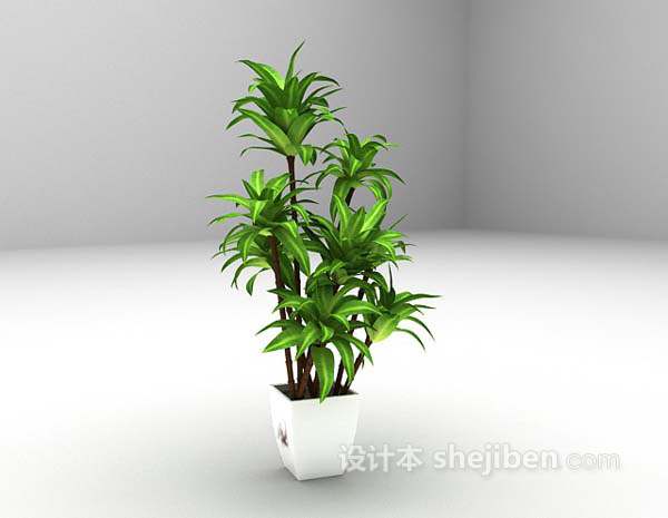 设计本绿色植物3d模型下载