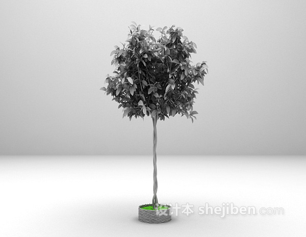 现代风格室内盆景植物3d模型下载