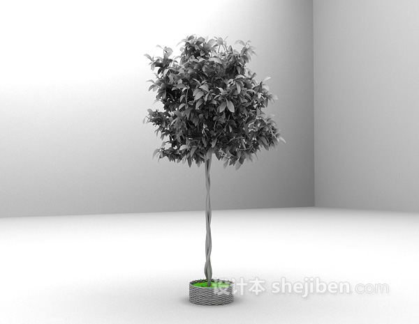 免费室内盆景植物3d模型下载