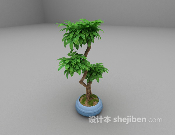 现代风格绿色植物免费3d模型下载