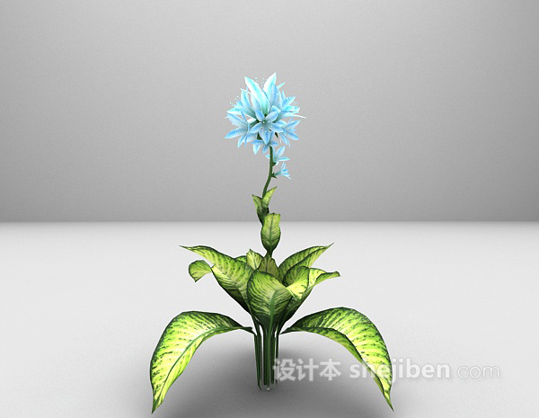 绿色植物3d模型推荐