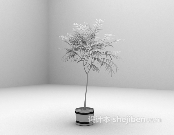 设计本室外植物推荐3d模型下载
