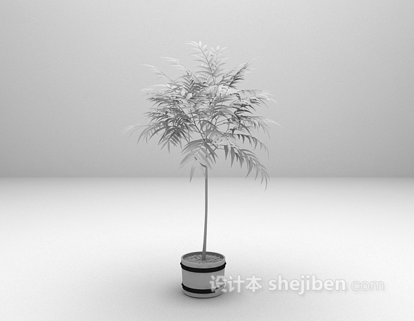 现代风格室外植物推荐3d模型下载