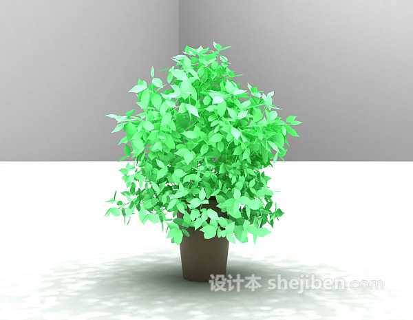 设计本室内小叶绿植3d模型下载