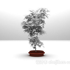 植物盆栽max3d模型下载