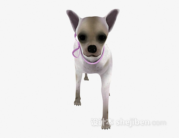 带项圈的狗动物模型 3d下载