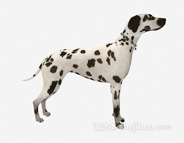 现代风格斑点狗动物3d模型下载