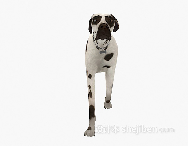 斑点狗动物 3d模型下载