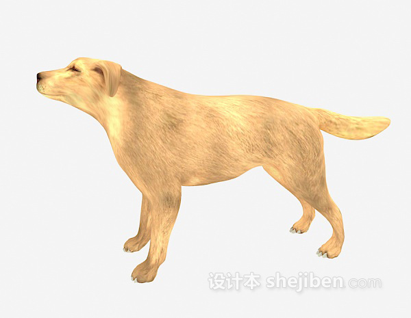 狼狗动物 3d模型下载