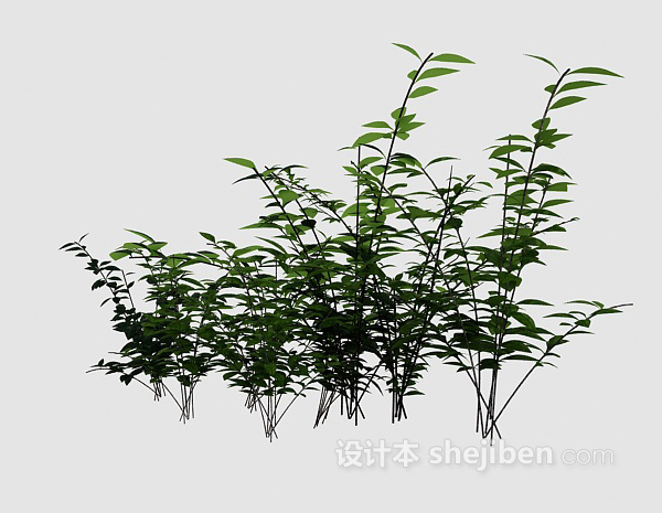 免费室外绿色植物3d模型下载