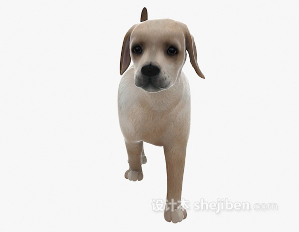 现代风格小狗动物3d模型下载