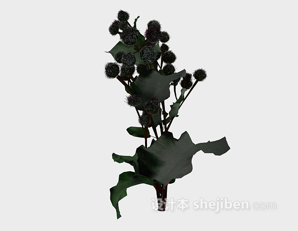 免费室外球形植物3d模型下载