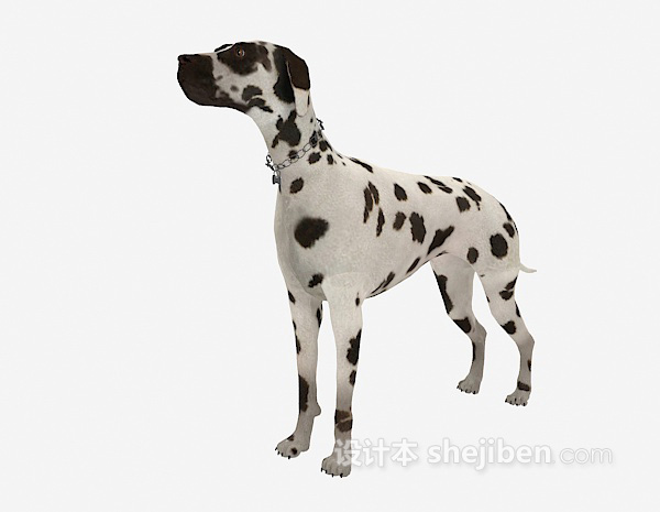 免费斑点狗动物3d模型下载