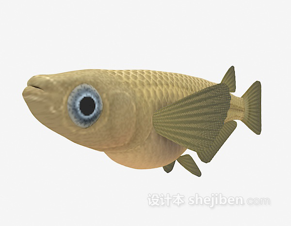 现代风格大眼鱼3d模型下载