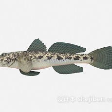 淡水鱼3d模型下载