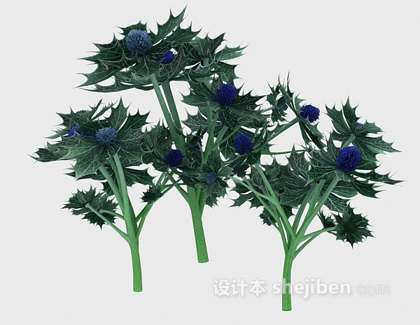 现代风格室外针形叶子植物3d模型下载