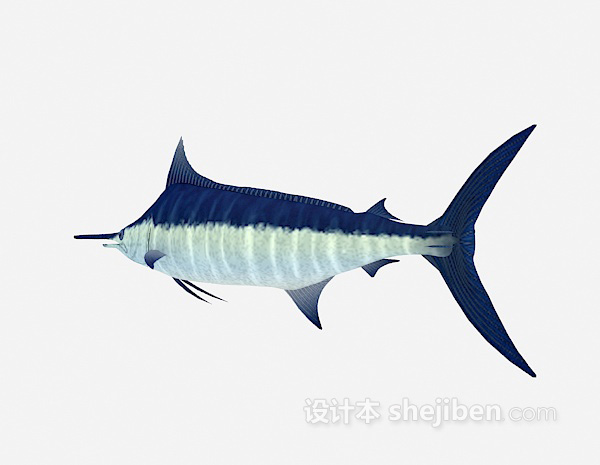 设计本鲨鱼3d模型下载