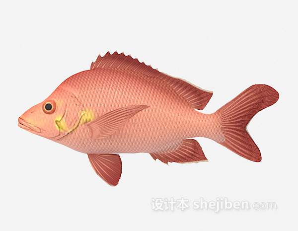 红色的鱼3d模型下载