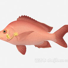 红色的鱼3d模型下载