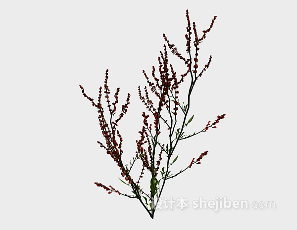 免费室外红色植物3d模型下载