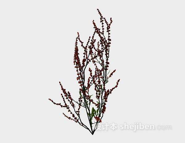 设计本室外红色植物3d模型下载