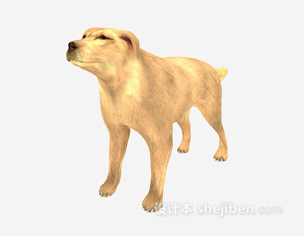 免费狼狗动物 3d模型下载