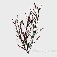 室外红色植物3d模型下载