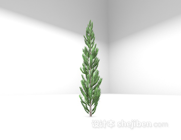现代风格松柏植物3d模型下载
