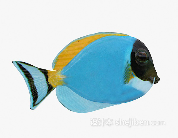 蓝色的鱼3d模型下载