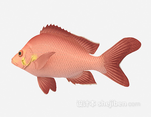 免费红色的鱼3d模型下载