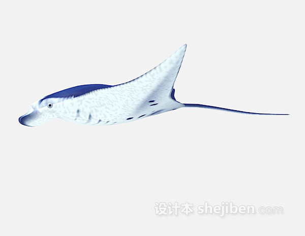 设计本海鱼类3d模型下载