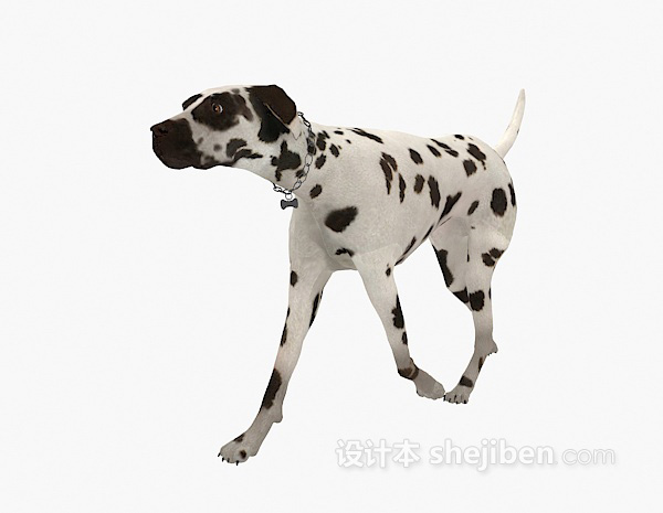 免费斑点狗动物 3d模型下载