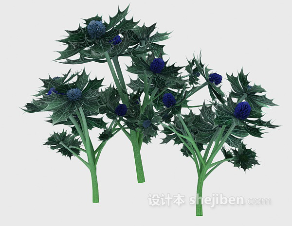 免费室外针形叶子植物3d模型下载