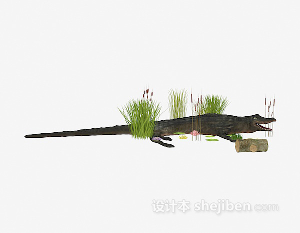 鳄鱼3d模型下载