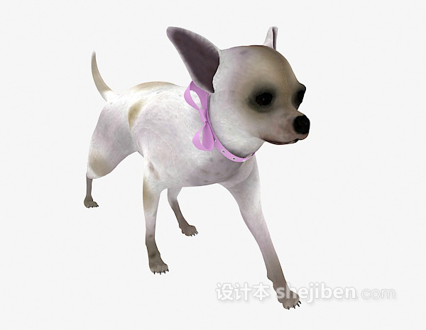 设计本带项圈的狗动物 3d模型下载
