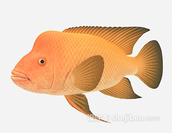 设计本黄色鱼3d模型下载