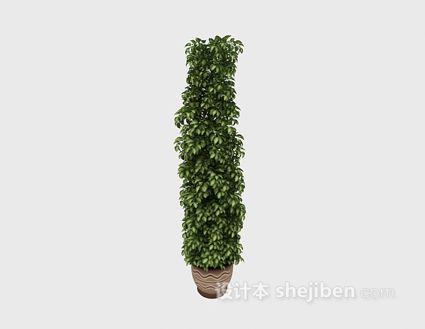 设计本室内大型植物3d模型下载