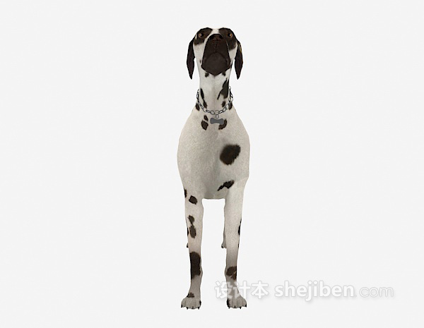 斑点狗动物模型3d下载