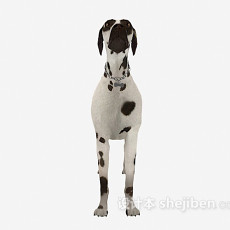 斑点狗动物3d模型下载