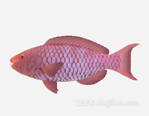 紫色的鱼模型3d模型下载