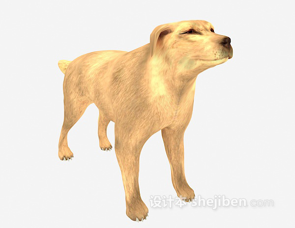 设计本狼狗动物 3d模型下载