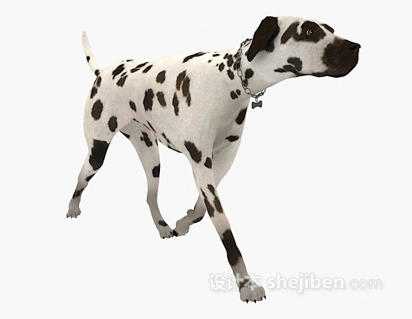 设计本斑点狗动物 3d模型下载