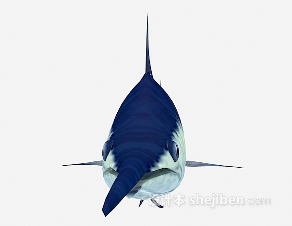 免费鲨鱼3d模型下载
