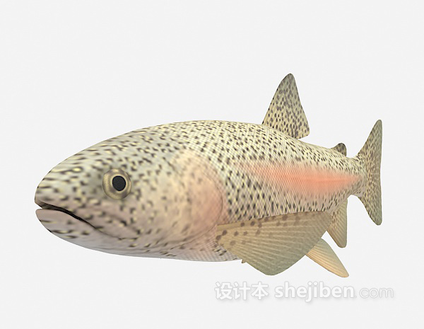 现代风格浑身斑点的鱼欣赏3d模型下载